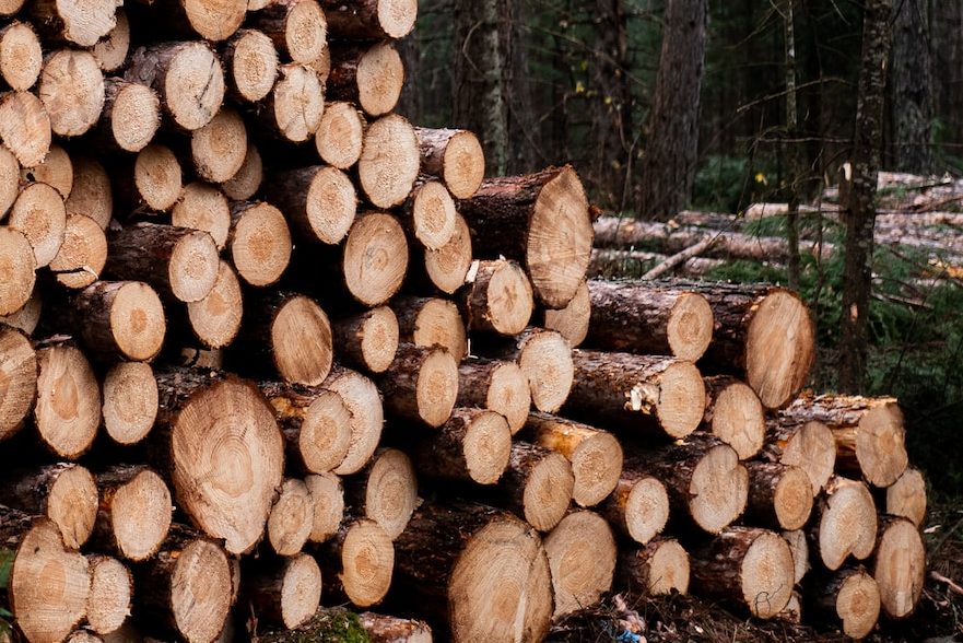 firewood stack