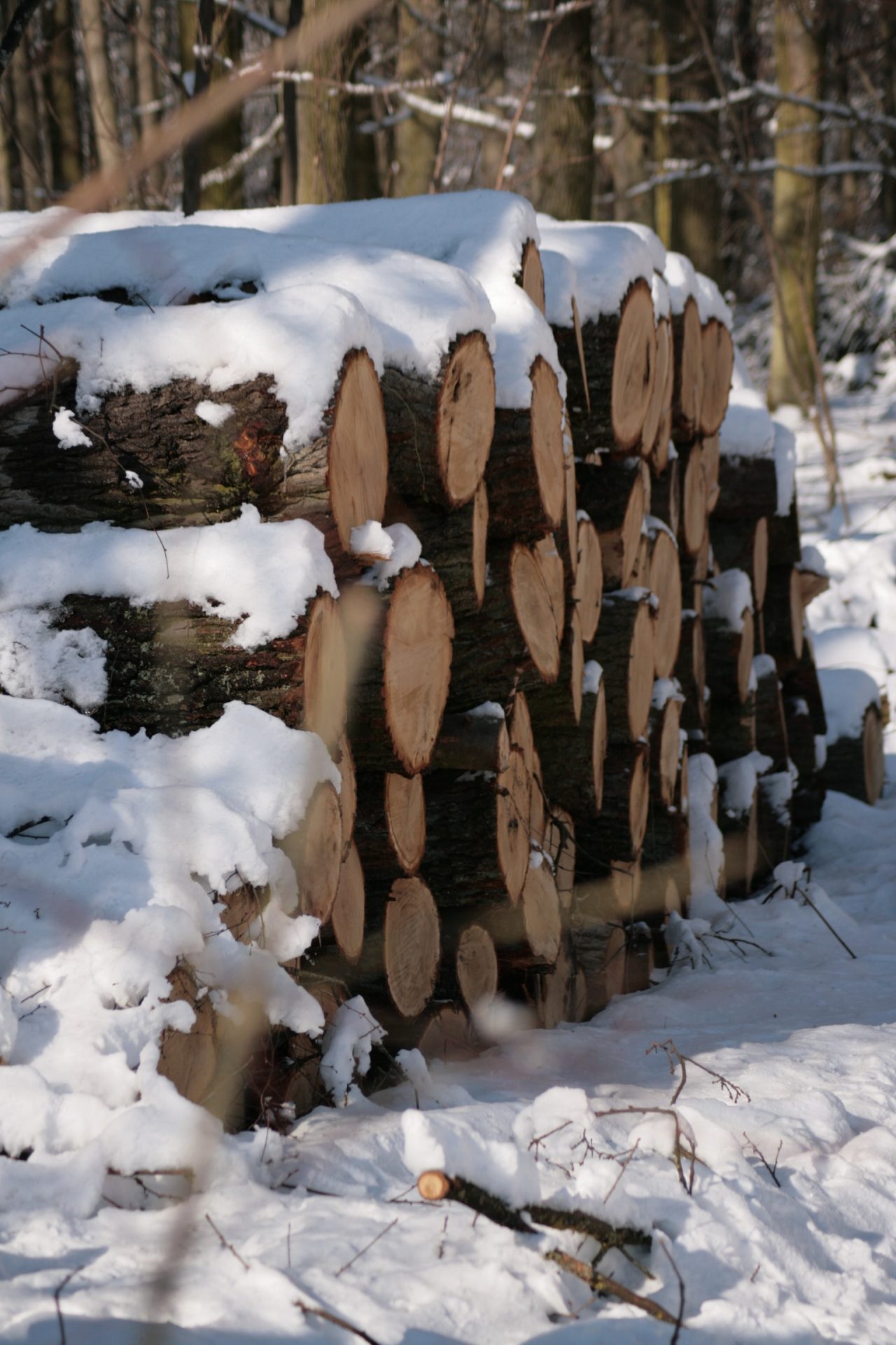 brown wooden fence covered with snow